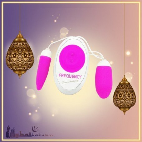 Frequency Vibrating Egg