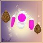 Frequency Vibrating Egg