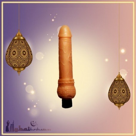 Mr. Dong Realistic Vibrator