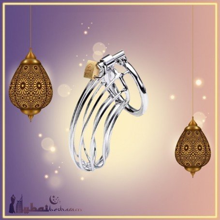 Stainless Steel Iron Wire Male Chastity Lock